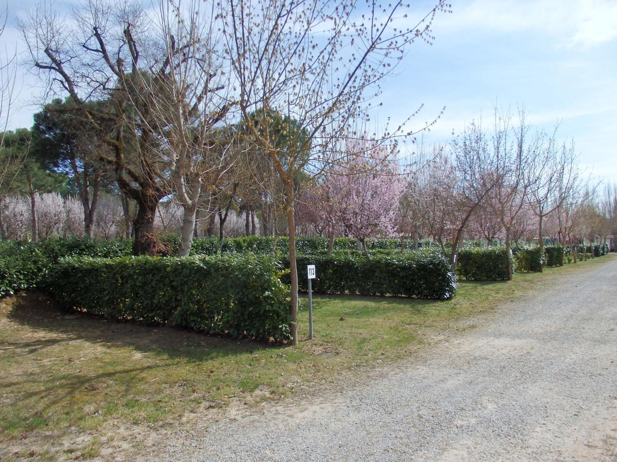 Camping Village La Chiocciola Capannole 外观 照片